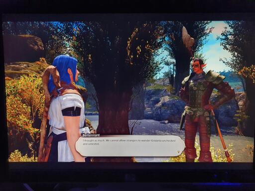 Final Fantasy XIV su Void Linux con Lutris